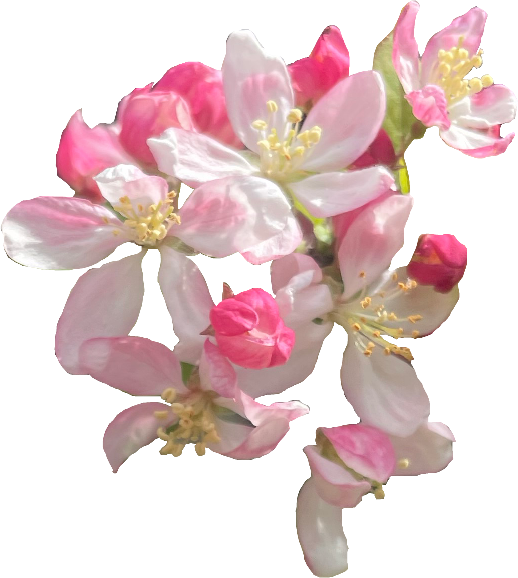 Functional Uniqueness for CWR